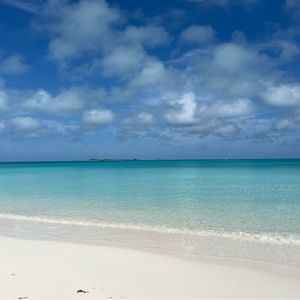 Meet your Posher, Sofi